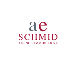 Agence Immobilière A.-E. Schmid SA